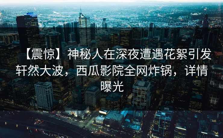 【震惊】神秘人在深夜遭遇花絮引发轩然大波，西瓜影院全网炸锅，详情曝光