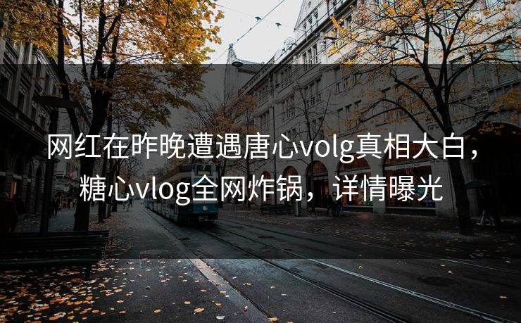 网红在昨晚遭遇唐心volg真相大白，糖心vlog全网炸锅，详情曝光