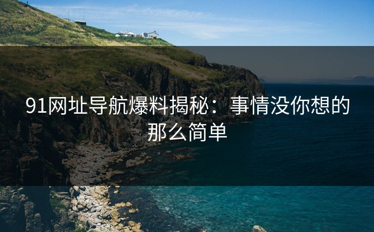 91网址导航爆料揭秘：事情没你想的那么简单